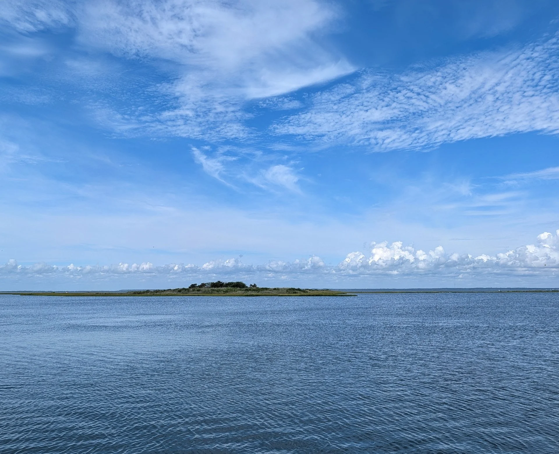 PXL_20260802_145409353-3.jpg