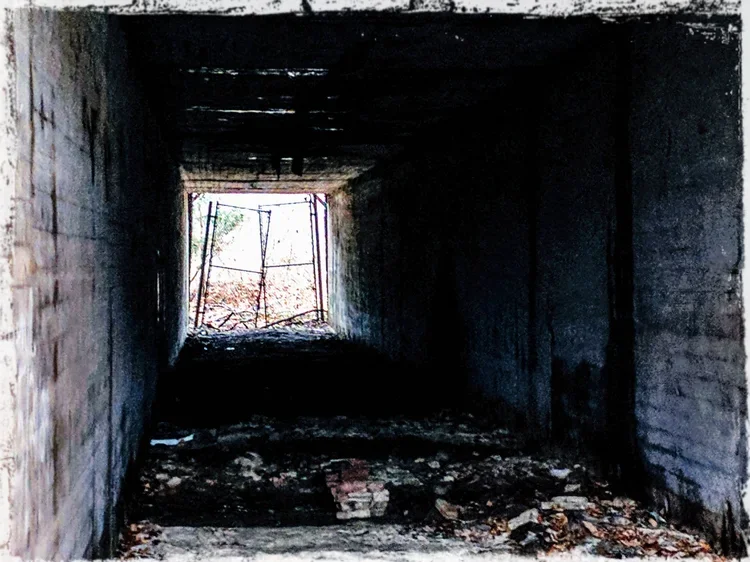tunnel.webp