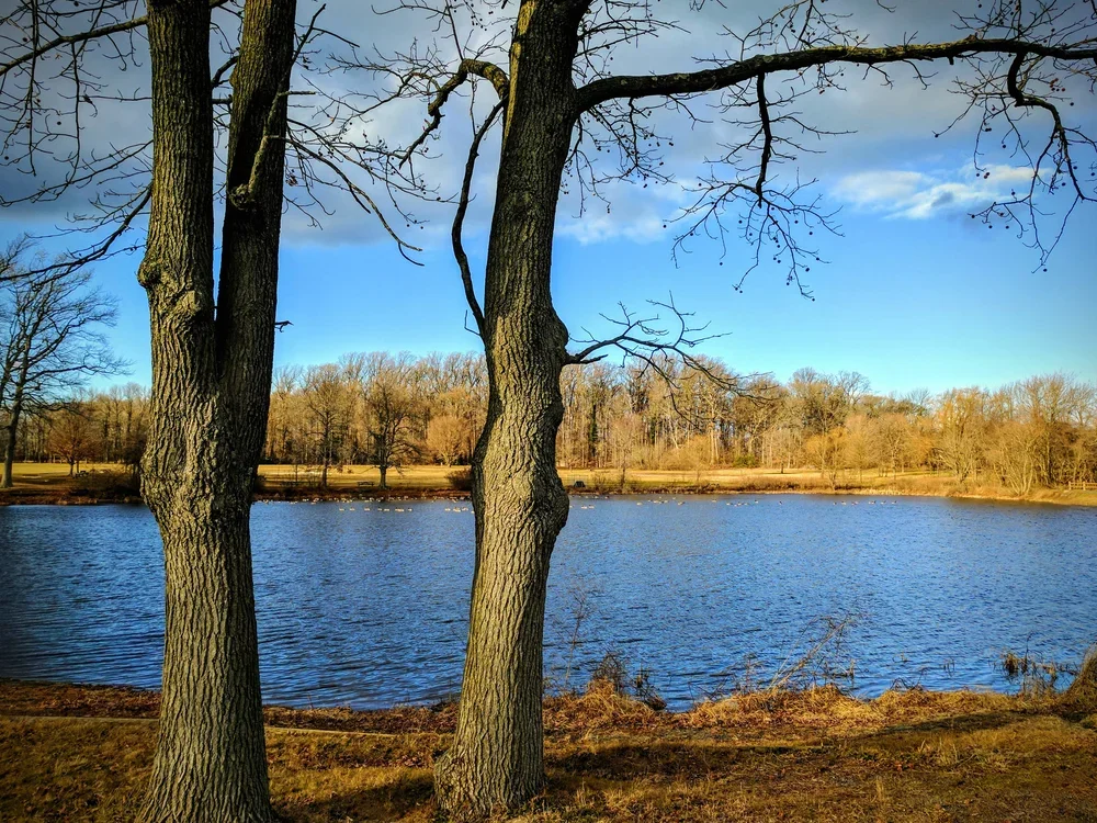 park-in-december (1).webp