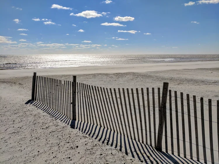 bright-sea.webp