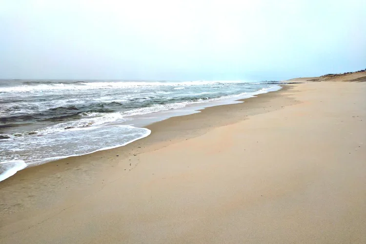 foggy-surf.webp