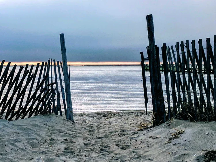 fence-opening.webp