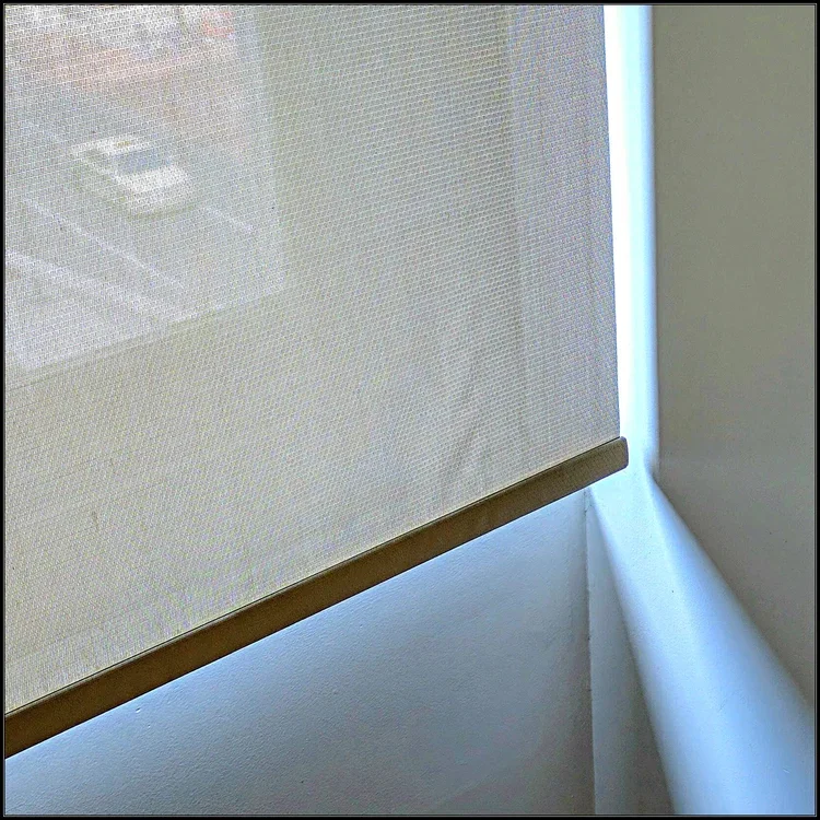 shade-sqeb.webp