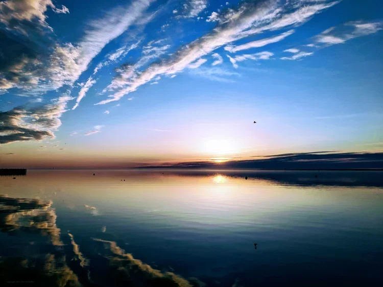 sunset-bay-and-gull.webp