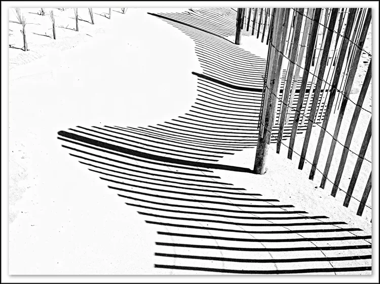 grass-shadow-fence-bb.webp