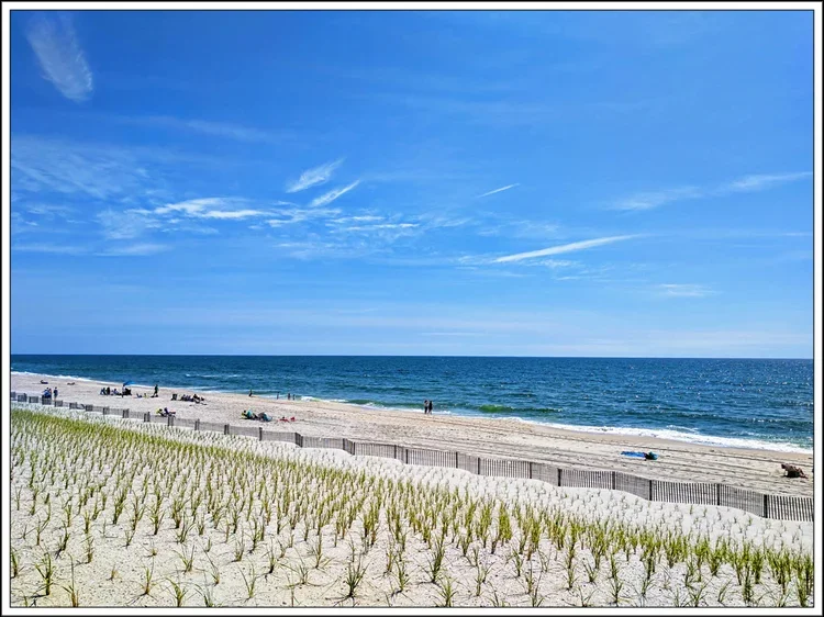 early-beach-b.webp