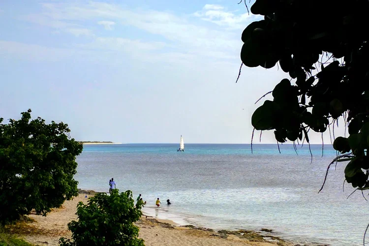 swim-sail.webp