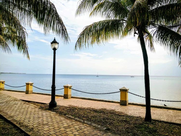palm-walk-1.webp