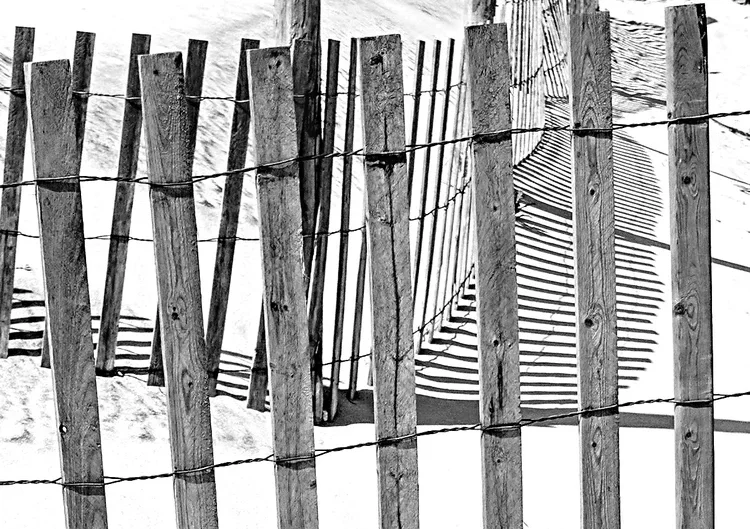 bw-fence-2e.webp