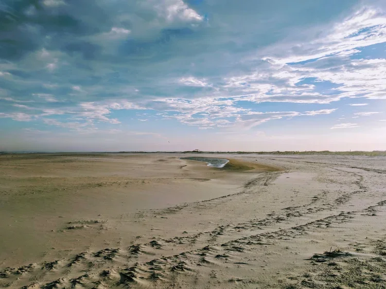 oasis.webp