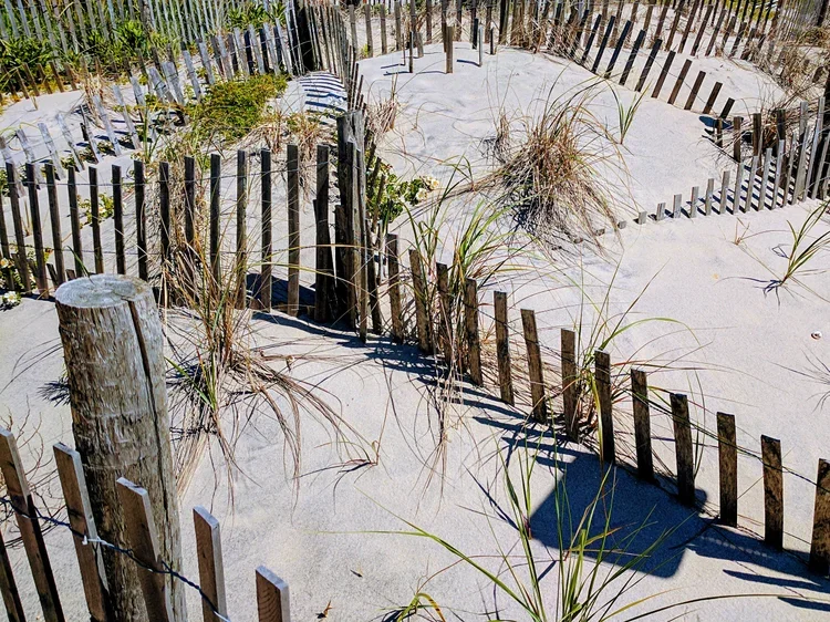 fence-grass.webp