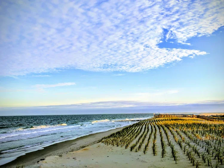 dune-south.webp