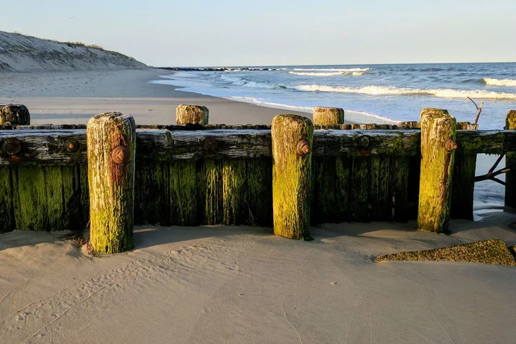 old-wood-jetty.webp