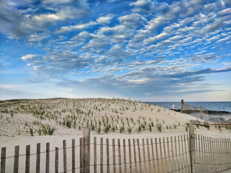 dune-boy.webp