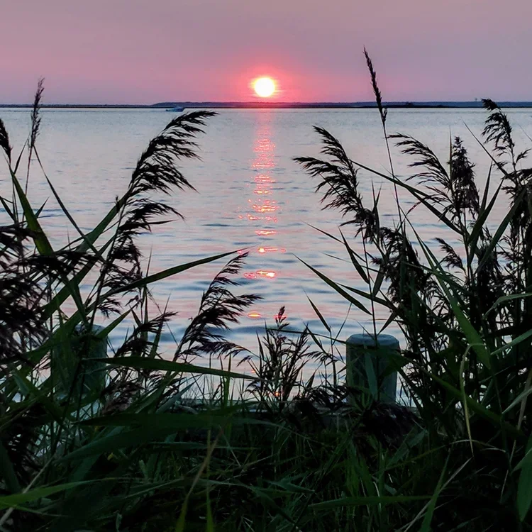 IMG_20170820_193959.webp