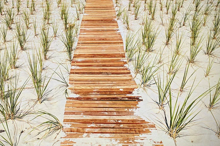 wooden-path-3.webp