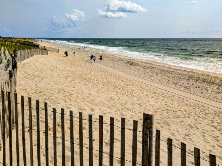 over-the-fence-e.webp