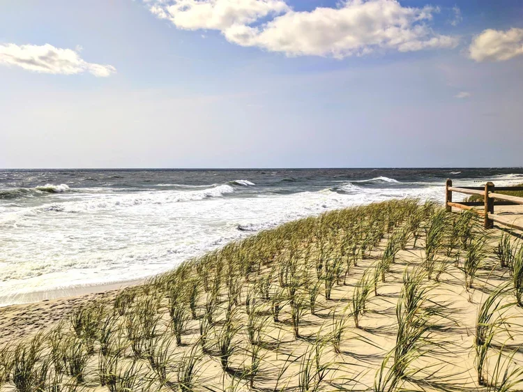dune-view-2.webp