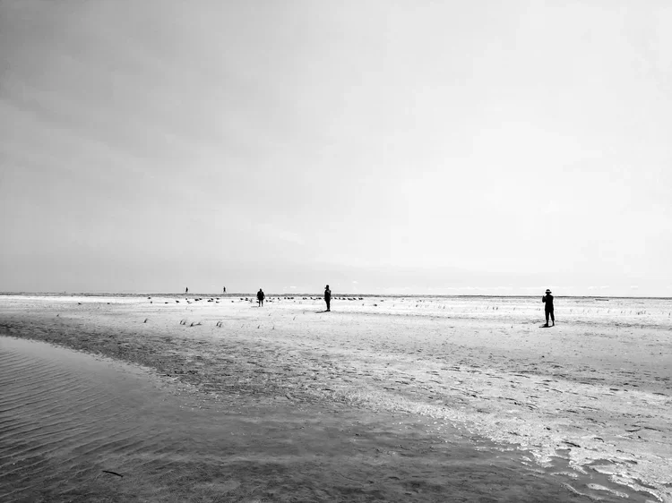 three-bw.webp