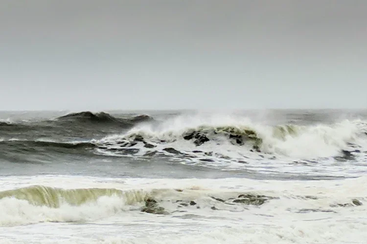 wave-2.webp
