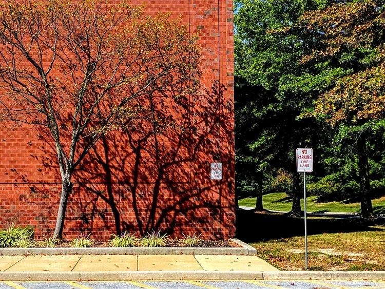 fire-lane+-+Edited.webp