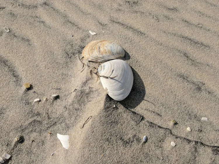 IMG_20170929_153222.webp