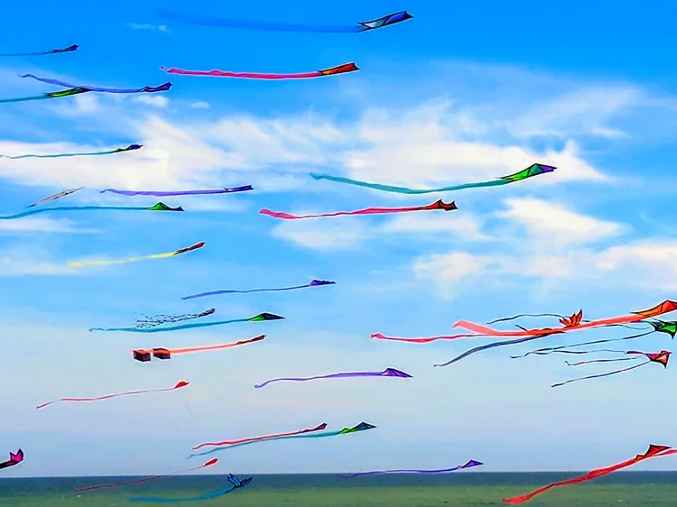 kites-3-E.webp