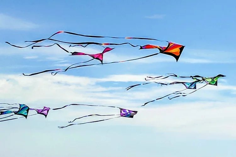 kites-e.webp