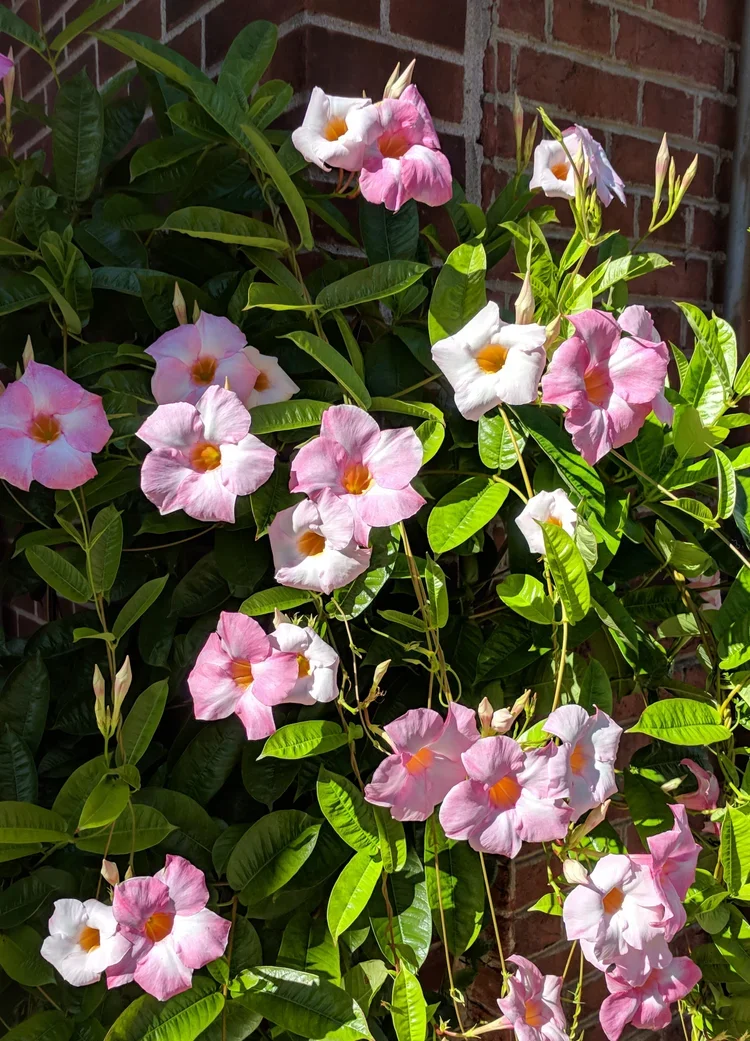 IMG_20171020_130740.webp