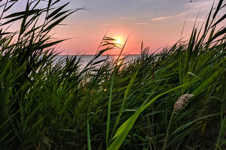 Ipx-MG_20180716_195452.webp