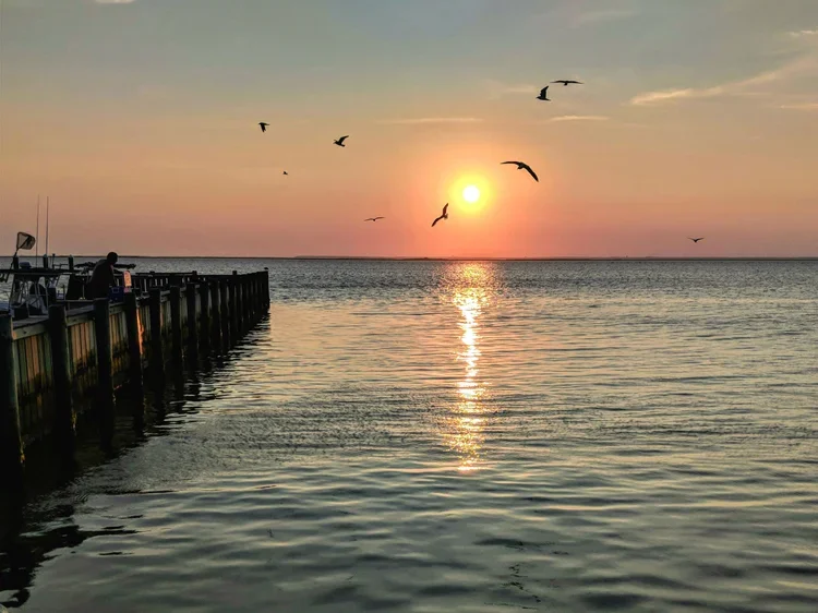 pxe-IMG_20180716_195335.webp