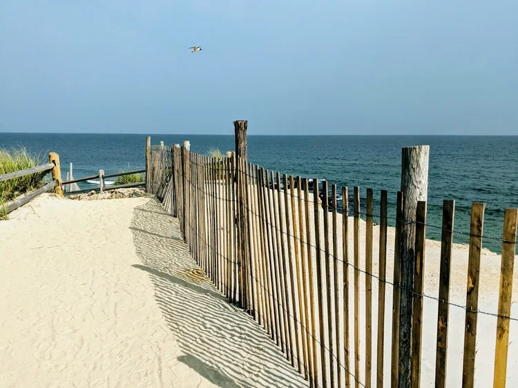 IMG_20180816_161346.webp