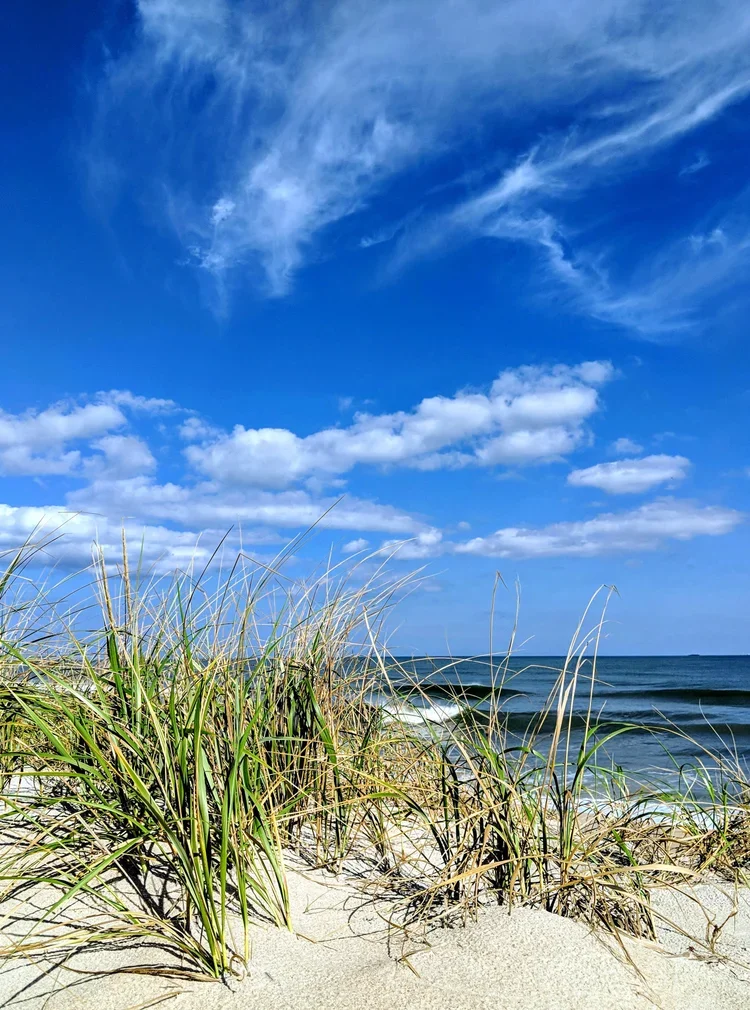px-IMG_20181003_150016+-+Edited.webp