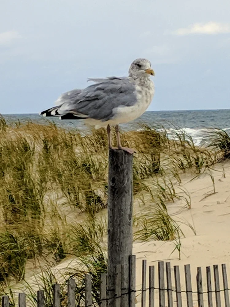 IMG_20181006_160654.webp