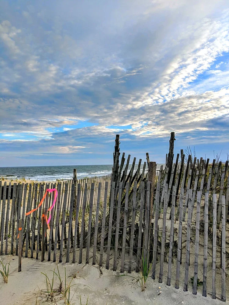 px-IMG_20181015_174414.webp