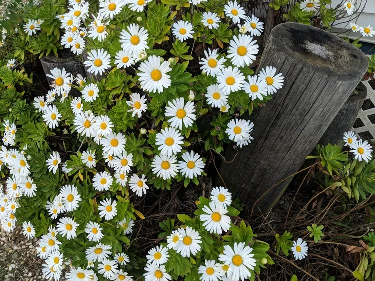 IMG_20181015_180649.webp