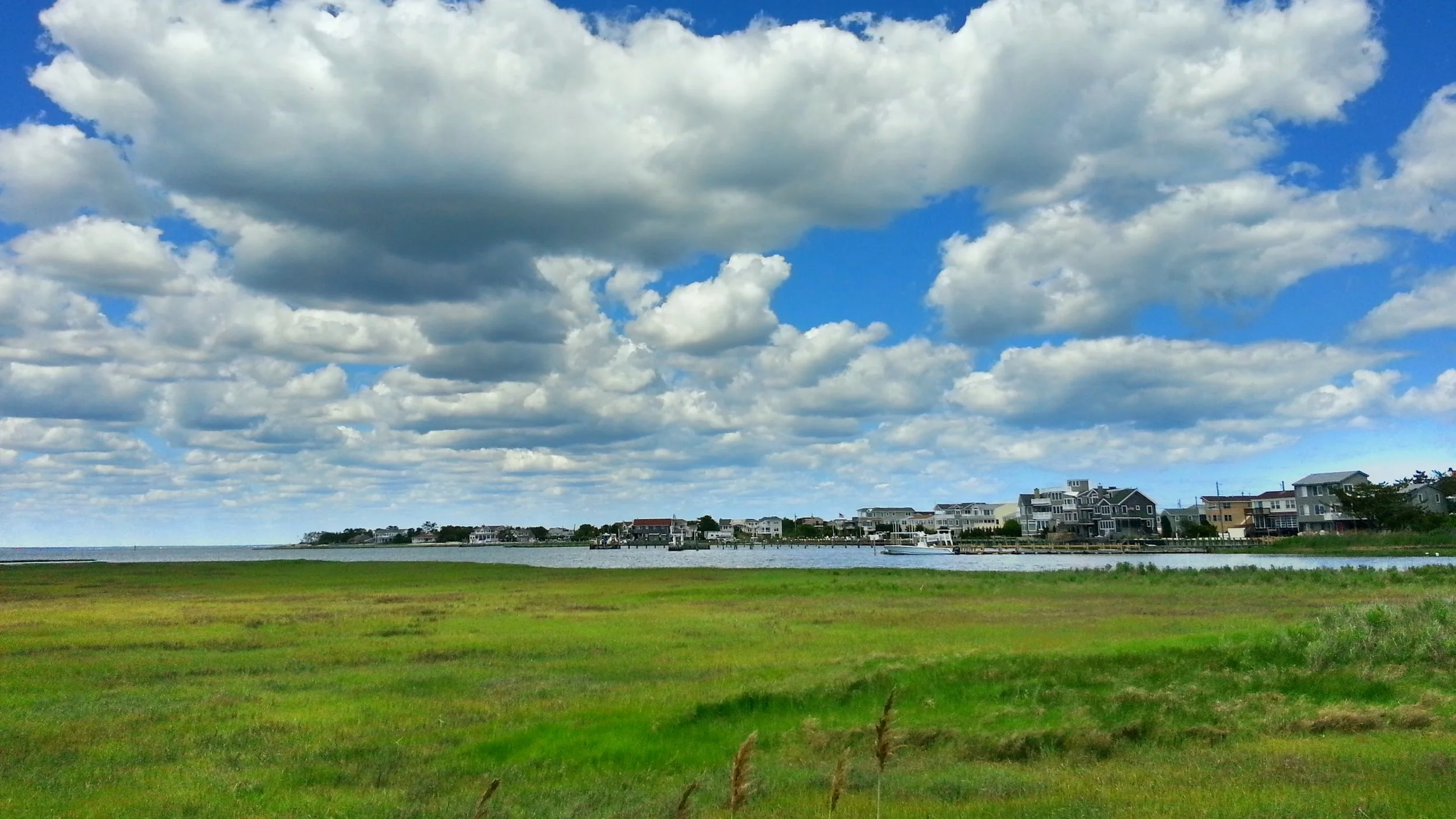 20140606_142306.jpg