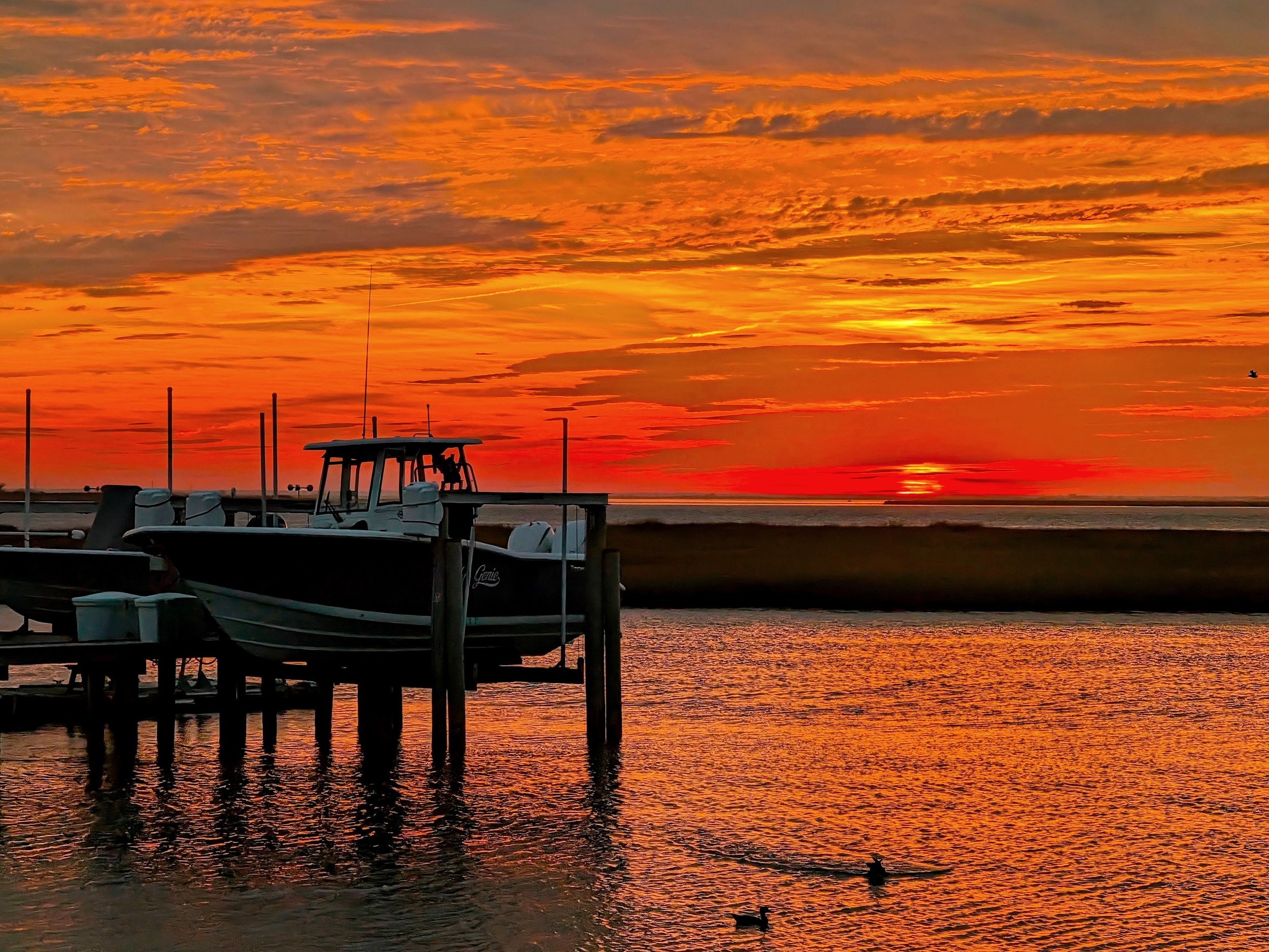 PXL_20261001_223718758-EDIT.jpg