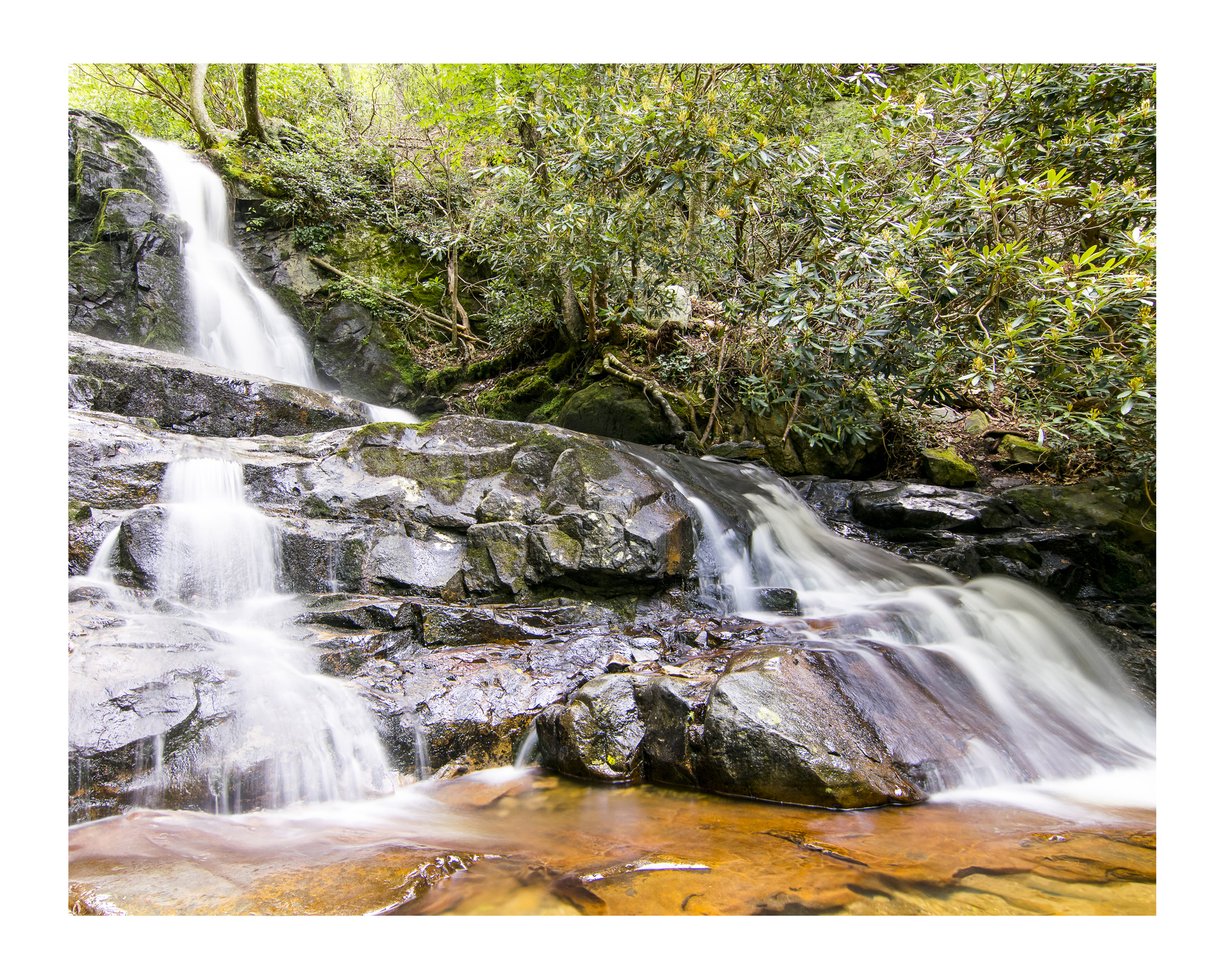 Laurel Falls