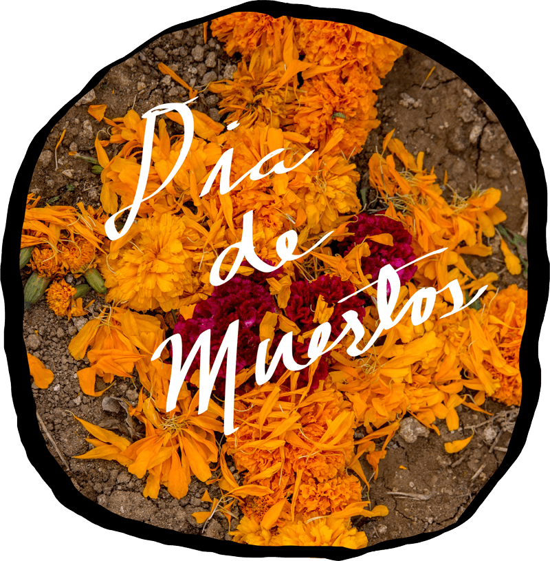 ddm-cursive.png