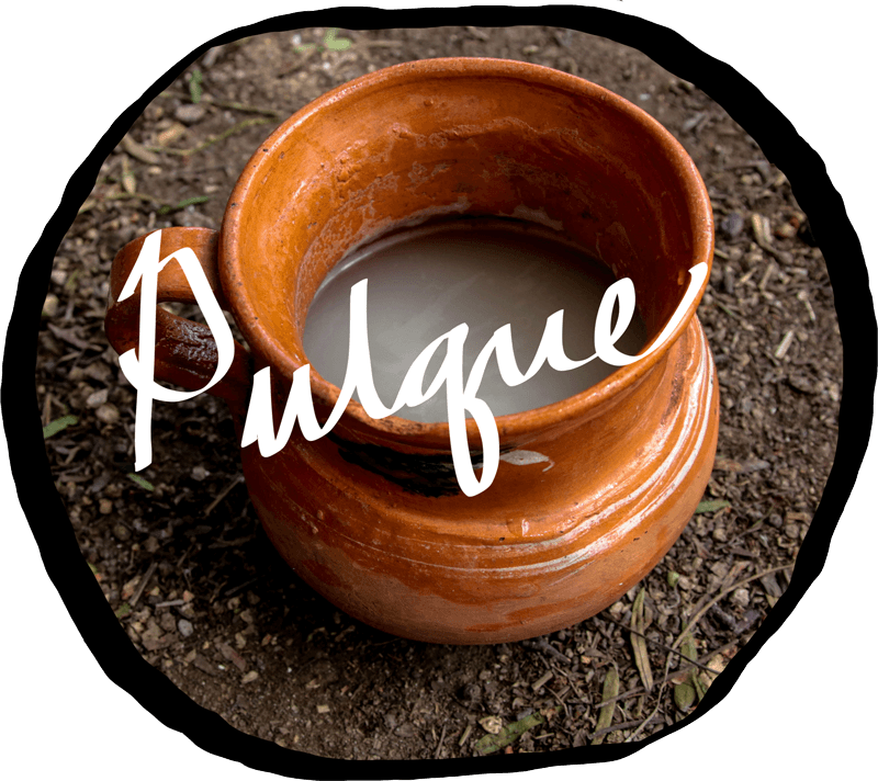 pulque-cursive.png