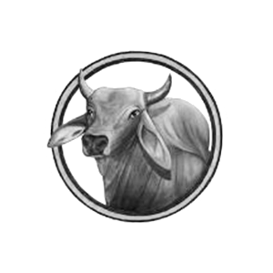 kingsville.png