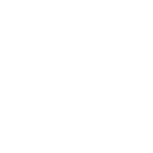 SNBL(white).png
