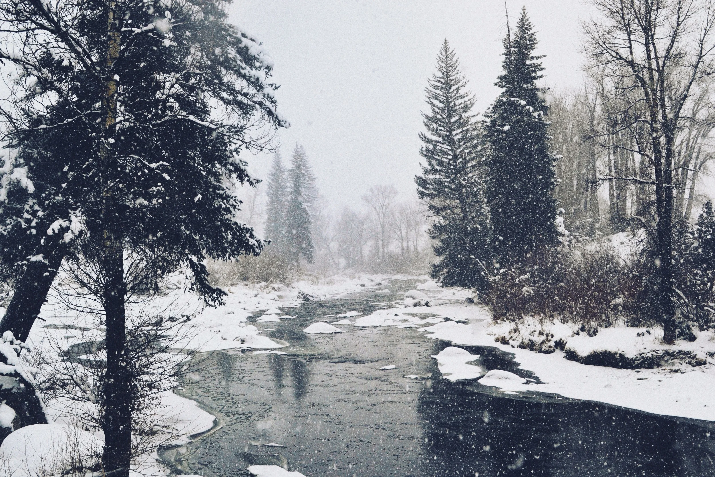 Changing with the Seasons