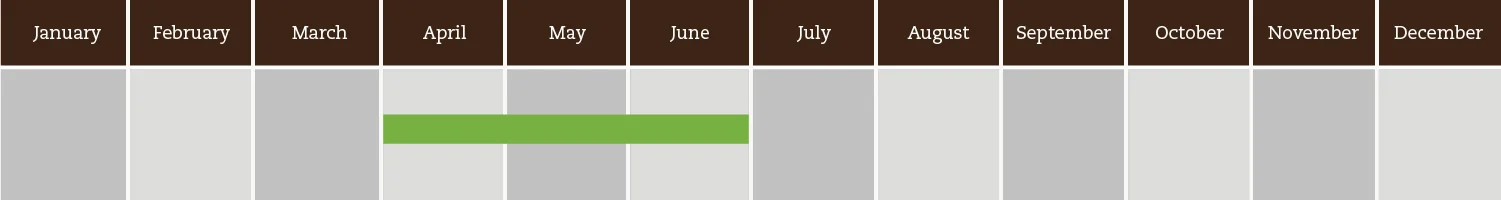 Pea Greens Seasonality.jpg
