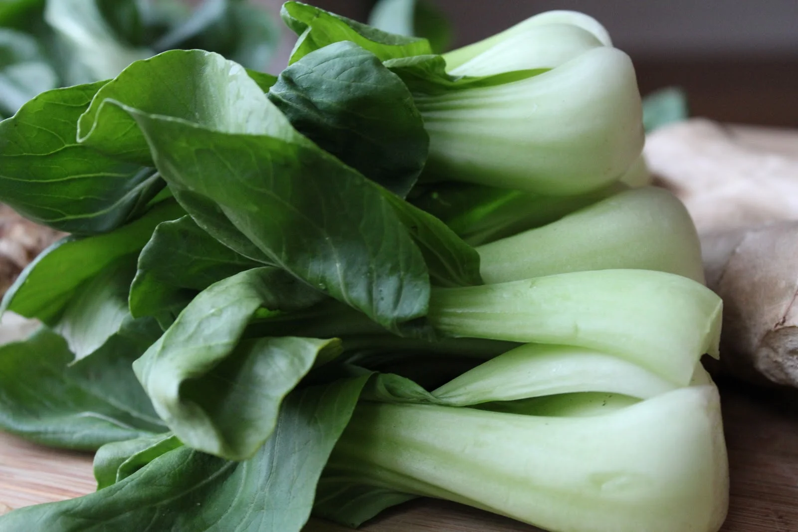Vegetable Spotlight: Bok Choy 