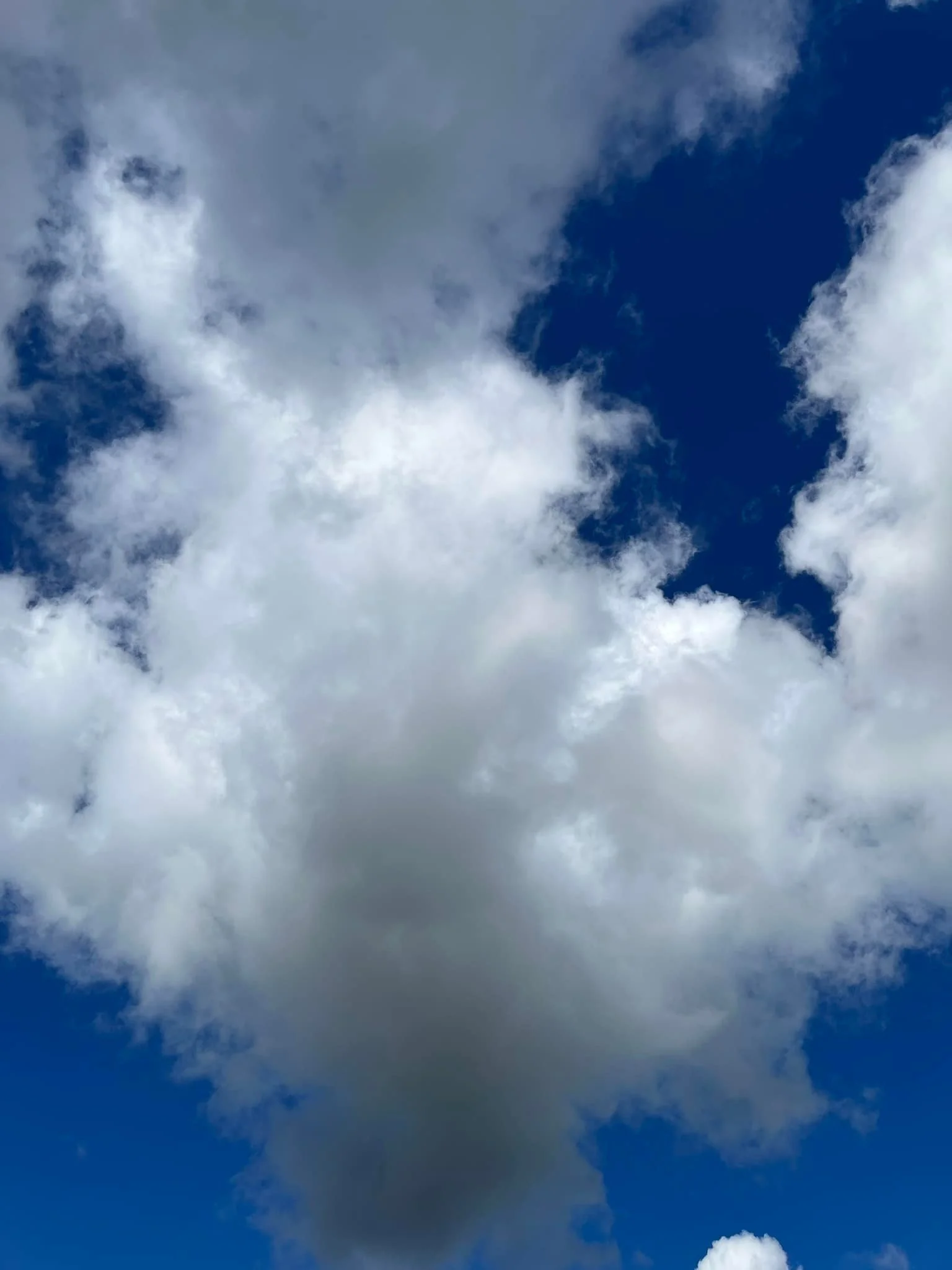 Beautiful clouds this morning.