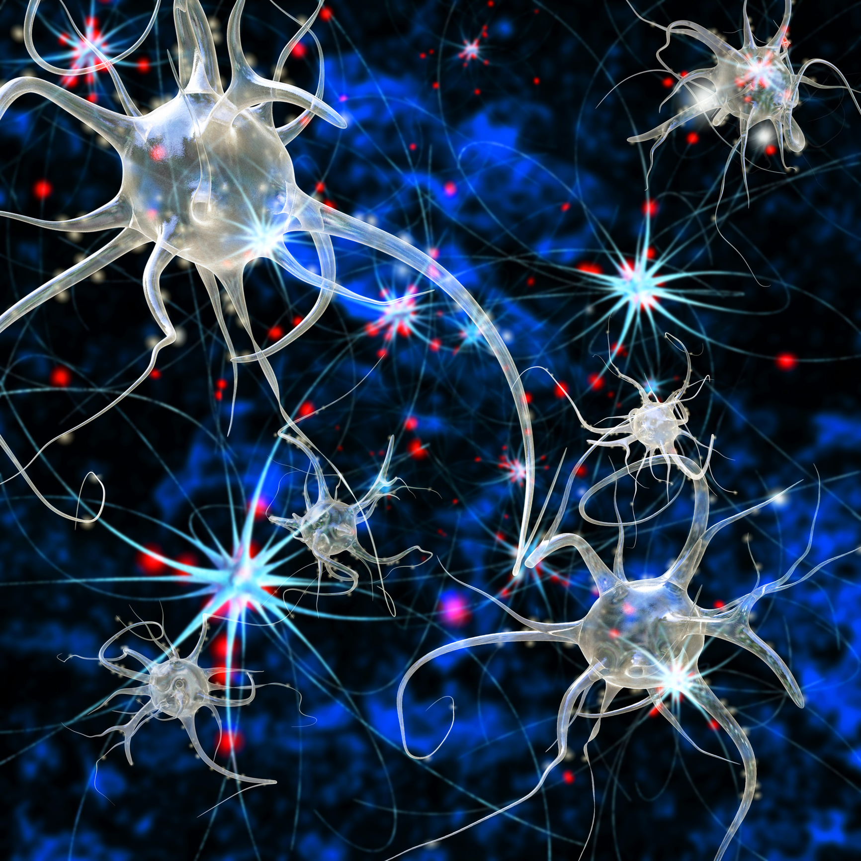 Meditation and the Brain