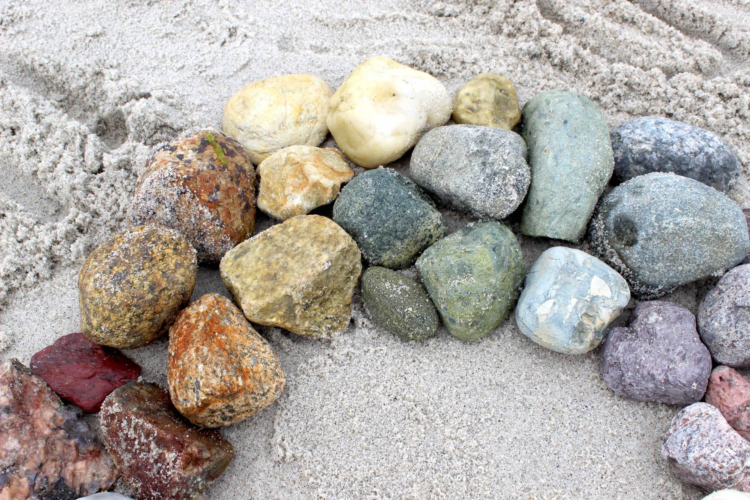 Scatteree Pic IMG_5673 (copy) 07.10.20 SM.jpg