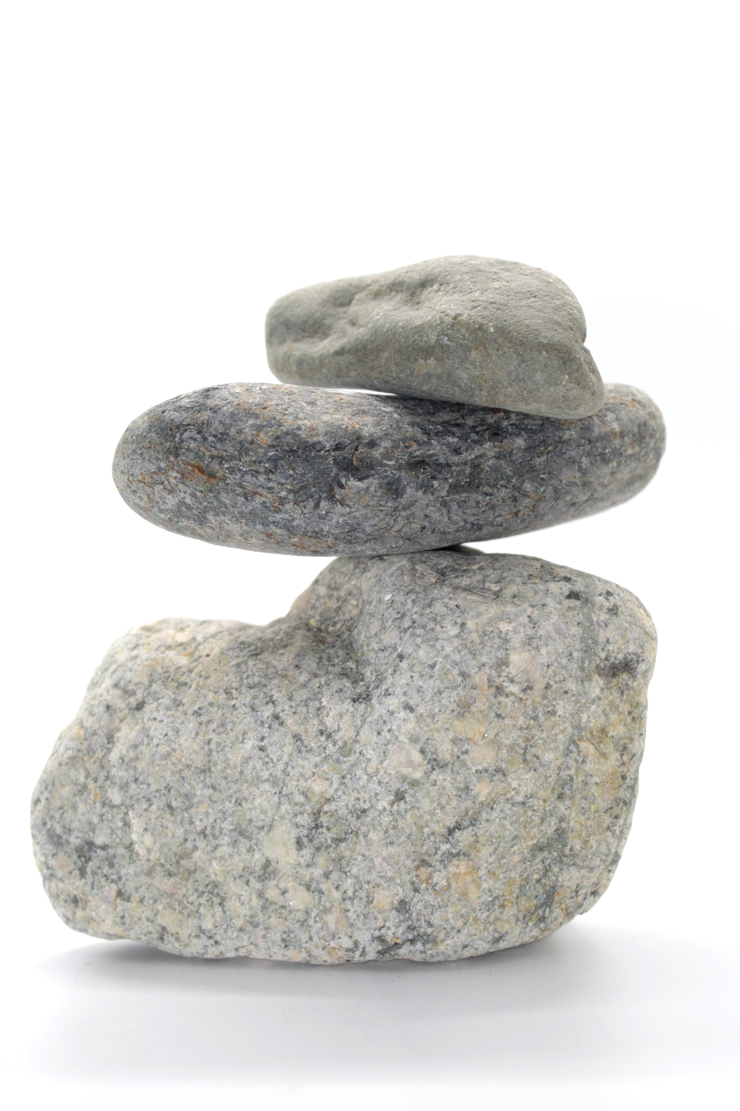 "Radical Acceptance" Photograph